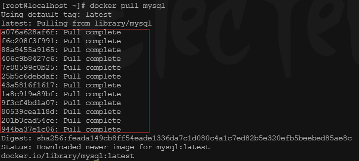 image-20210403100101657